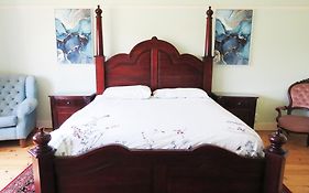 Thule Guesthouse Selborne